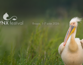 Natura, „vedetă” de cinema la început de iunie. În Lynx Festival