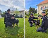 O pensionare specială în Jandarmeria Braşov