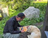 1.000 de câini de hrănit în Braşov. Cum le dai un castron de mâncare