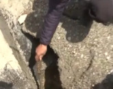 Drumul dintre Predeal şi Trei Brazi se surpă 