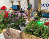 Sera care se „udă” singură la Hălchiu, coduri QR la Cetatea Râşnov: Cu ce au impresionat în acest an elevii juriul de la „Made for Europe”