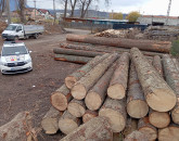 Descindere la Zărneşti şi Bran, cu Poliţia şi Garda Forestieră