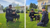 O pensionare specială în Jandarmeria Braşov