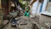 11 scoşi din mocirlă, din centrul Braşovului. „Din păcate, se pare că doamna care a ţinut aceşti câini nici nu a înţeles nimic”