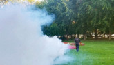 INFORMAREA POPULAŢIEI: Dezinsecţie combatere căpuşe pe domeniul public şi privat, aplicare a tratamentelor fitosanitare pentru combatere boli şi dăunători la arbori, în Municipiul Braşov / 27 – 30.04.2026