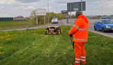 Robotul teleghidat, scos la treabă pe ocolitoarea Brașovului