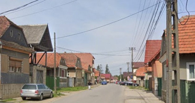 A venit cu „haita” să-şi bată vecinii 