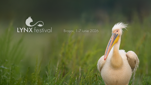 Natura, „vedetă” de cinema la început de iunie. În Lynx Festival
