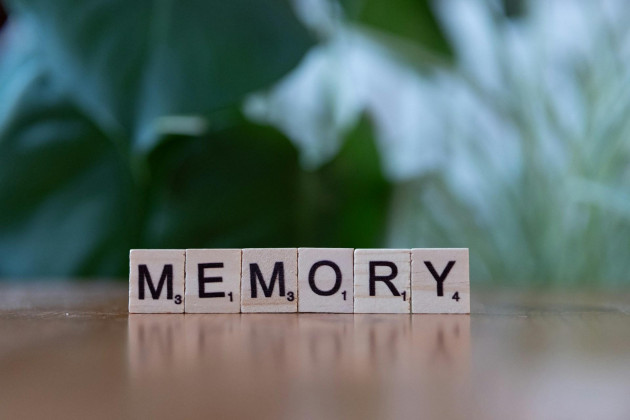 Bacopa monnieri: planta care susține memoria și claritatea cognitivă