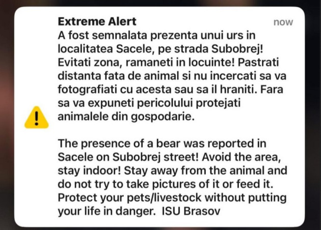 RO-Alert la Săcele: urs pe Subobrej