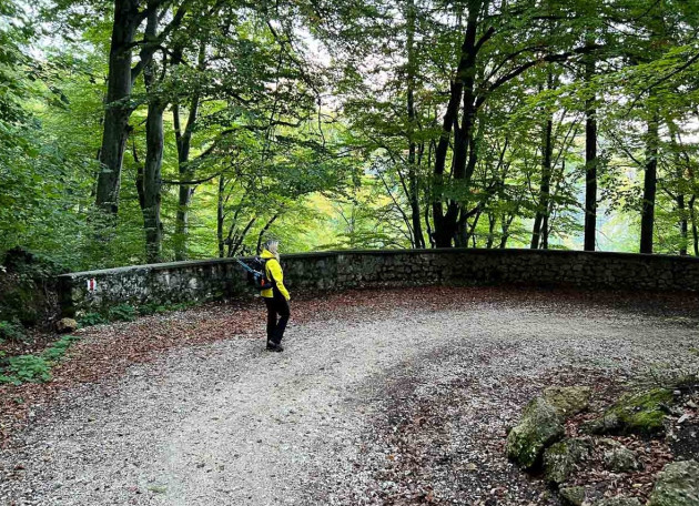 Proiectul iluminării drumului vechi spre Poiana Braşov, respins de Mediu