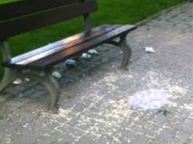 500 de lei punga de semințe. Cu „taxă” de nesimțire