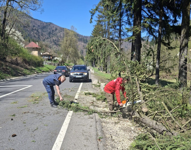 Vântul a adus probleme pe drumurile naţionale