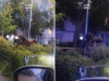 5 necivilizați, amendați de Primărie. Scuipat semințe – 500 de lei, scanla la beție – 1.500 de lei, „călăreț” prin parc – 3.000 de lei