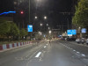 Natura surprinde la Brașov: Căprioare pe Calea București