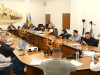 Făgăraş: Negociere directă de 270.000 de lei pentru cositul bălăriilor din oraş