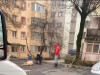 Broclele de porc, o „moştenire” ardelenească
