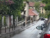 Urs la cros prin centrul Braşovului. „Probabil că oamenii au pus presiune pe el, l-or fi claxonat”