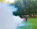 INFORMAREA POPULAŢIEI: dezinsecţie combatere ţânţari şi căpuşe;  larvicidare lucii de apă; tratamente fitosanitare pentru combatere boli şi dăunători la arbori, trandafiri şi buxus 
