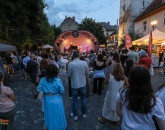 44 din 50 de festivalieri au probleme la Braşov: 480.000 de lei cheltuiţi cu probleme