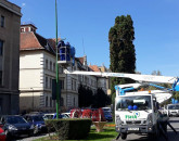 Compania care se ocupă de iluminatul Braşovului împlineşte 25 de activitate. „Iluminatul public devine o infrastructură digitală care generează date şi valoare”