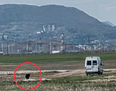 Prins după o poză: Şi-a aruncat câinele, mesaj pentru alţii care au de gând să facă la fel: amendă până la 12.000 de lei