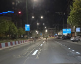 Natura surprinde la Brașov: Căprioare pe Calea București