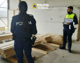 130 de mașini cu lemne, oprite la filtru. 26 erau cu probleme