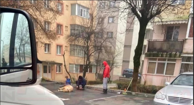 Broclele de porc, o „moştenire” ardelenească