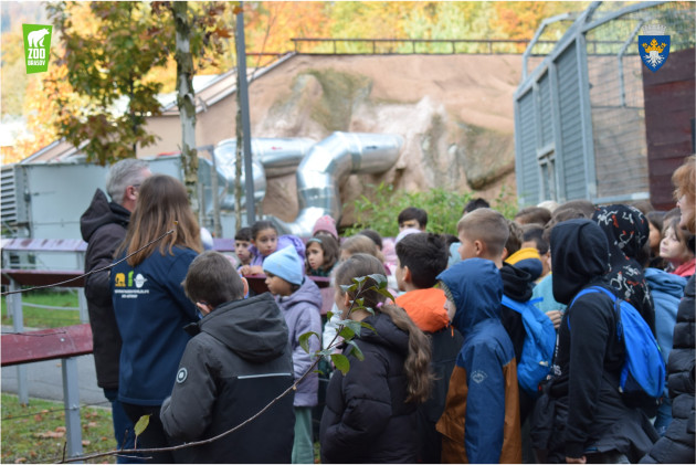 1 Iunie: gratuit la Zoo Braşov 