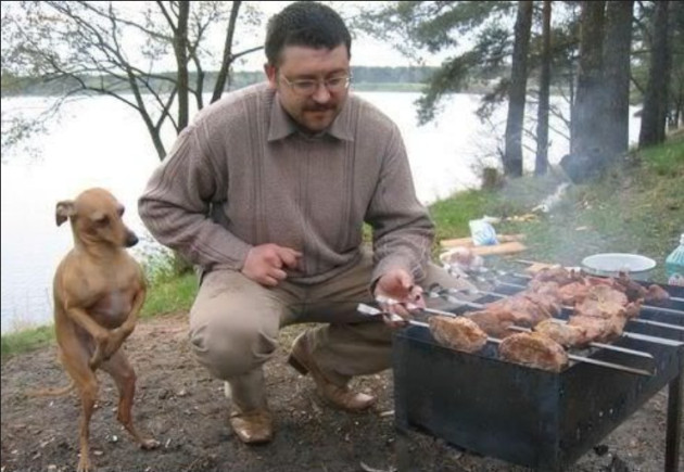  Grătar cu bere sau grătar în bere?  