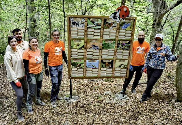 Peste 100 de voluntari au muncit în inima pădurii să construiască „Poteca Copiilor” din Munții Făgăraș  