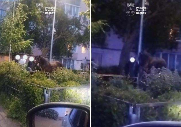 5 necivilizați, amendați de Primărie. Scuipat semințe – 500 de lei, scanla la beție – 1.500 de lei, „călăreț” prin parc – 3.000 de lei
