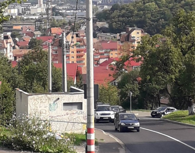 RO-Alert: Urs pe Dobrogeanu Gherea, urs pe Matei Basarab