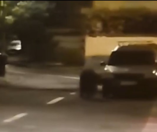 Urs la plimbare și prin Ghimbav