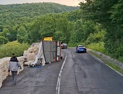 Camion plin cu păsări, răsturnat la Teliu