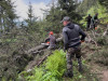 Bike-park-ul Postăvarul, deschis în 20 iunie. În aceste zile se extrag arborii căzuți