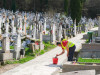 Se digitalizează cimitirele Şprenghi şi Municipal. Soft pentru 41.000 de morminte, 303.000 lei 