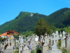 Urşii au intrat şi în cimitir. S-a întâmplat în Şcheii Braşovului, la Biserica Sfânta Treime  