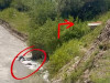 Râul Tărlung, poluat chimic. Garda de Mediu Brașov confirmă