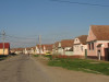 Bătut în drum spre casă de 3 indivizi