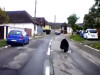 Ro-Alert pentru Hărman şi Săcele