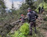 Bike-park-ul Postăvarul, deschis în 20 iunie. În aceste zile se extrag arborii căzuți