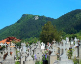 Urşii au intrat şi în cimitir. S-a întâmplat în Şcheii Braşovului, la Biserica Sfânta Treime  