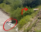 Râul Tărlung, poluat chimic. Garda de Mediu Brașov confirmă