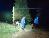 Pe munte, ca pe bulevard. Un „viteaz” puțin băut, fugărit de câini prin Piatra Craiului