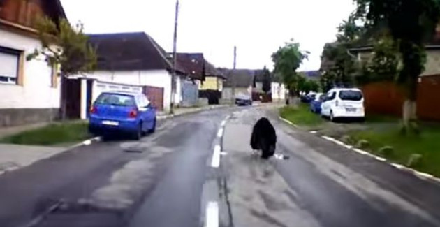 Ro-Alert pentru Hărman şi Săcele