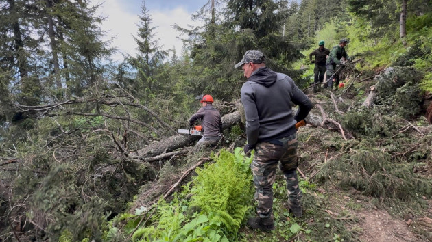 Bike-park-ul Postăvarul, deschis în 20 iunie. În aceste zile se extrag arborii căzuți