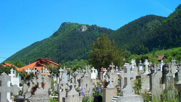 Urşii au intrat şi în cimitir. S-a întâmplat în Şcheii Braşovului, la Biserica Sfânta Treime  