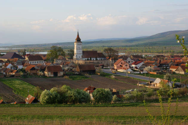 La nici 6 dimineaţa era deja beat şi îşi bătea nevasta